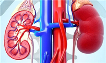بیماری مزمن کلیه و درمان آن