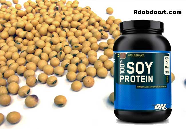پروتئین سویا چه فوایدی دارد؟چرا مصرف آن برای مردان خوب نیست؟ پروتئین سویا چه فوایدی دارد؟چرا مصرف آن برای مردان خوب نیست؟