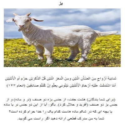 حیوانات در قرآن و احادیث (دانلودی PDF)
