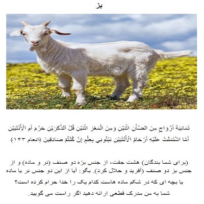 حیوانات در قرآن و احادیث (دانلودی PDF)